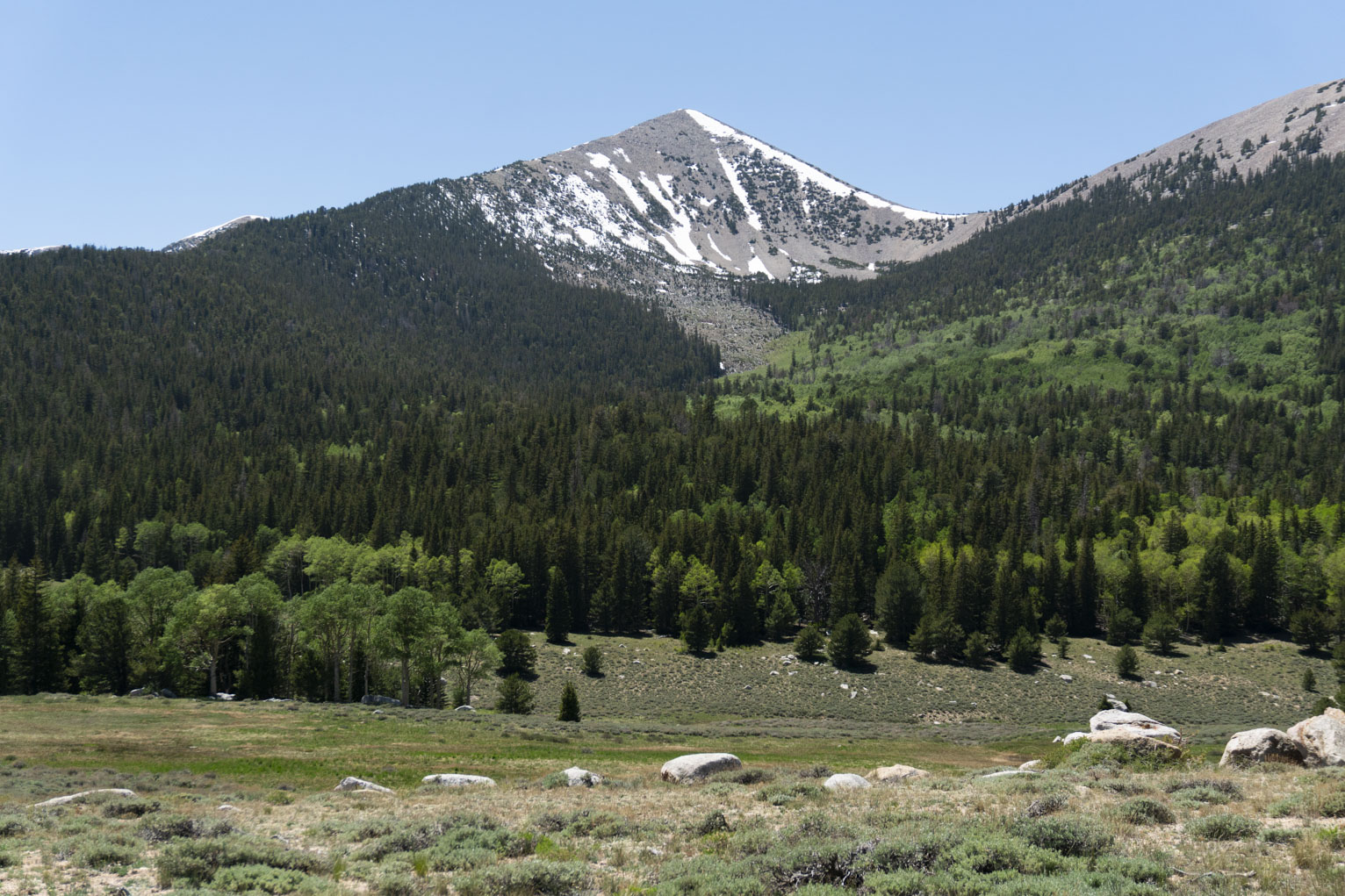 A mountain with all its green sides